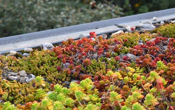 the cost of Wallington green roof installation