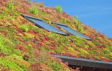 Wallington living roof systems