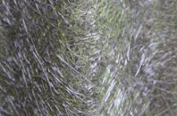 Wallington fibreglass roof work